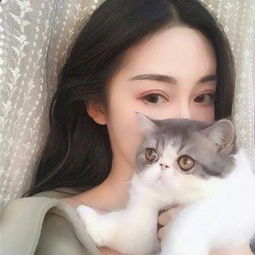 我的美女老板有点怪