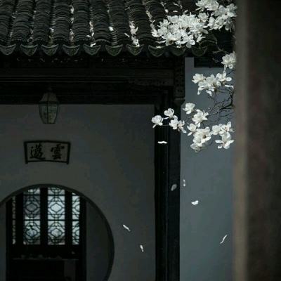 花开锦绣小说